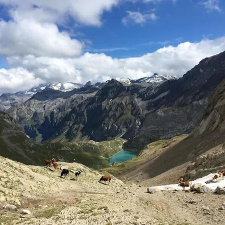 Gwunderstuebli By Interhome * Lenk