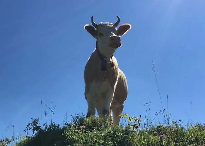 Gwunderstuebli By Interhome Lägenhet *