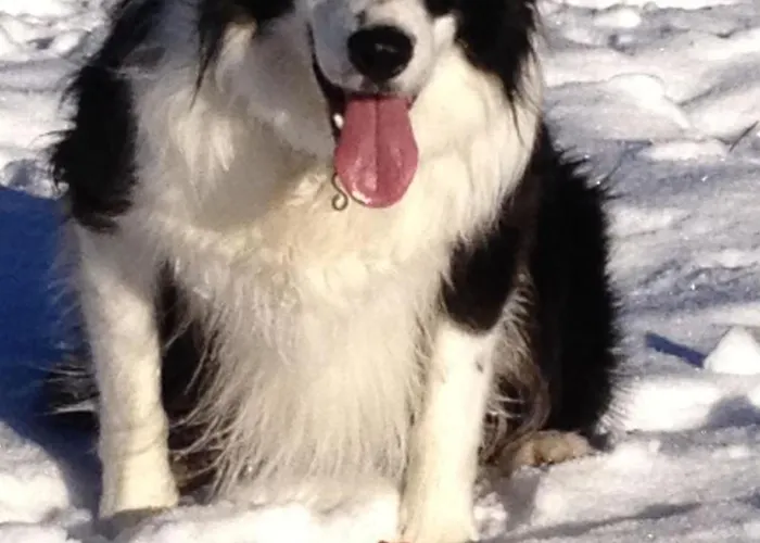 Gwunderstuebli By Interhome * Lenk