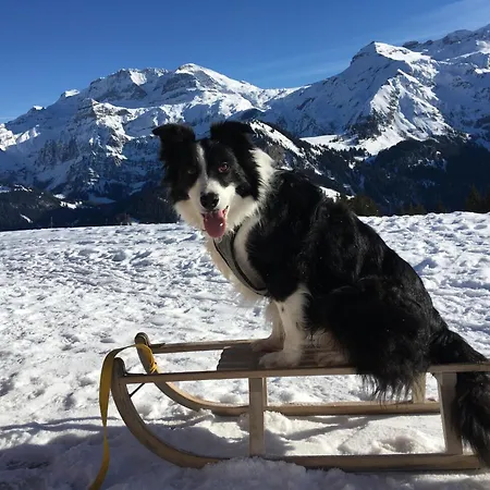 Gwunderstuebli By Interhome Lejlighed