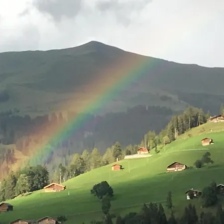 Gwunderstuebli By Interhome *