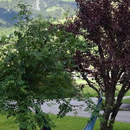 公寓 Gwunderstuebli By Interhome