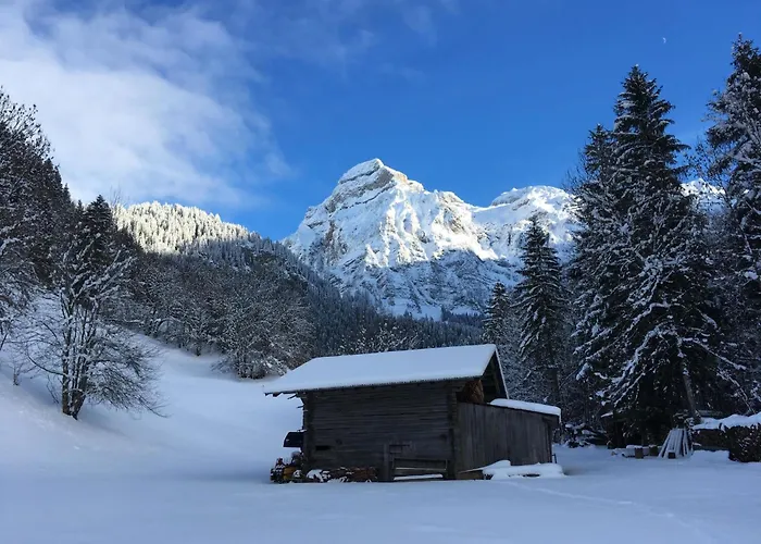 Apartman Gwunderstuebli By Interhome *