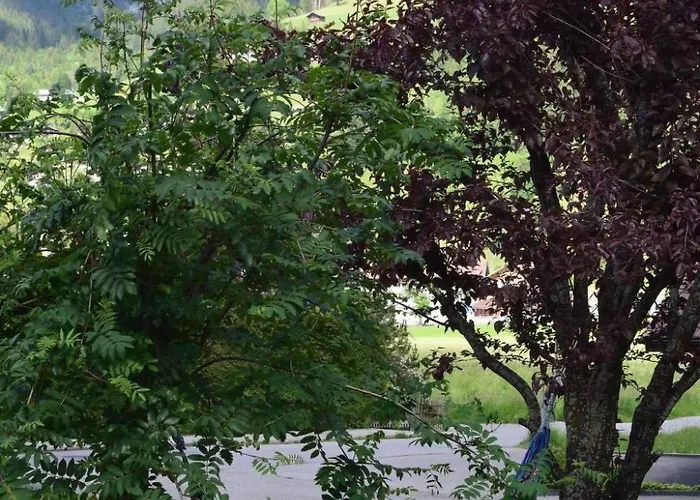 Apartman Gwunderstuebli By Interhome